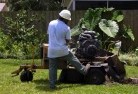 Campbell ACTstump-grinding-services-1.jpg; ?>